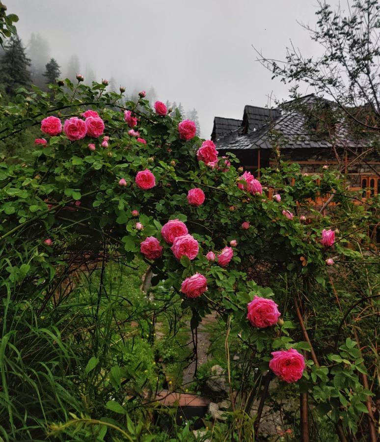 Old Brahma Homestay Kalgha Экстерьер фото