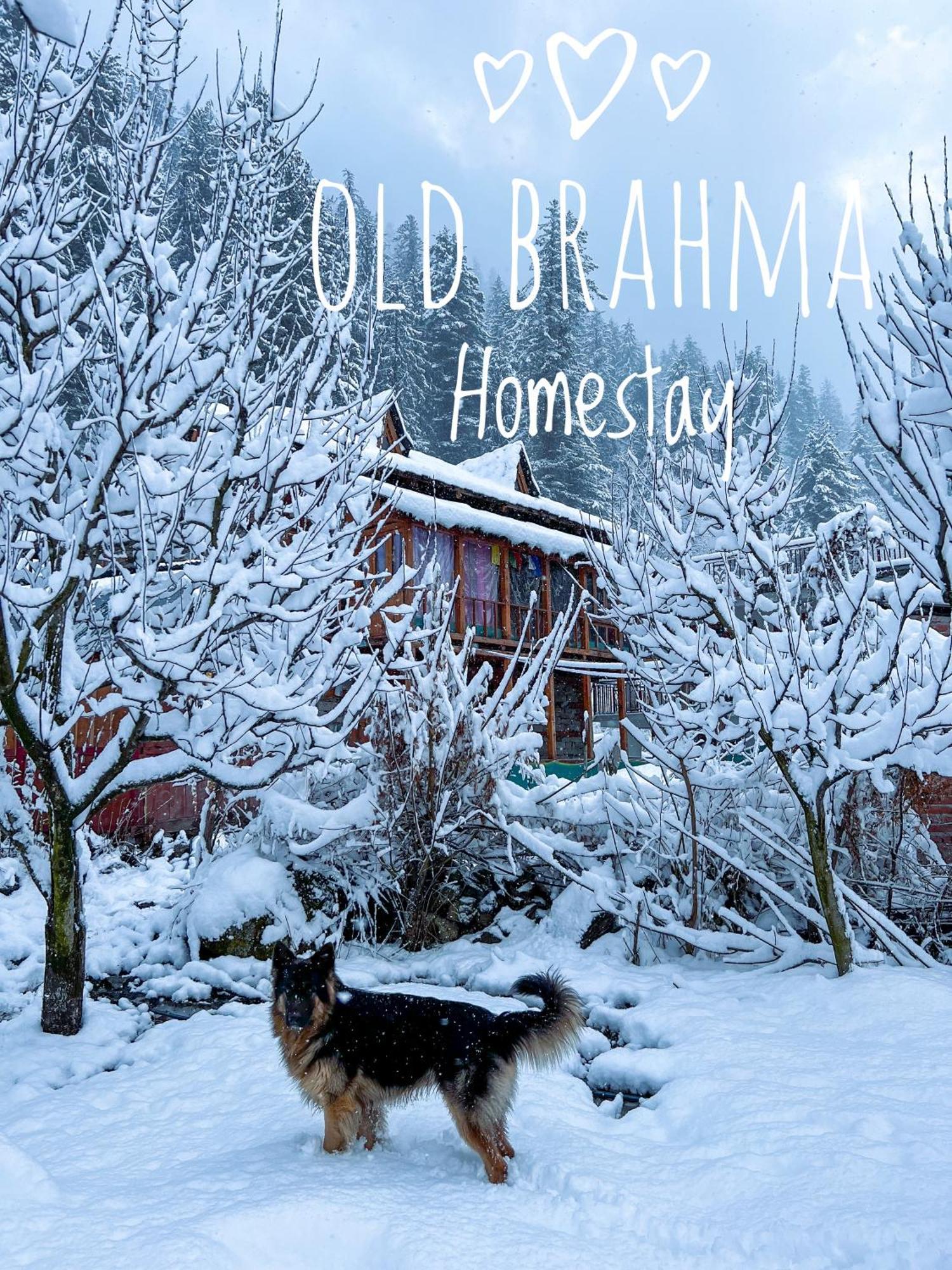 Old Brahma Homestay Kalgha Экстерьер фото